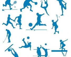 了乒乓球 了乒乓球