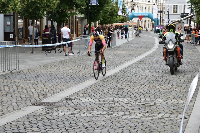 许多游客抱 许多游客抱